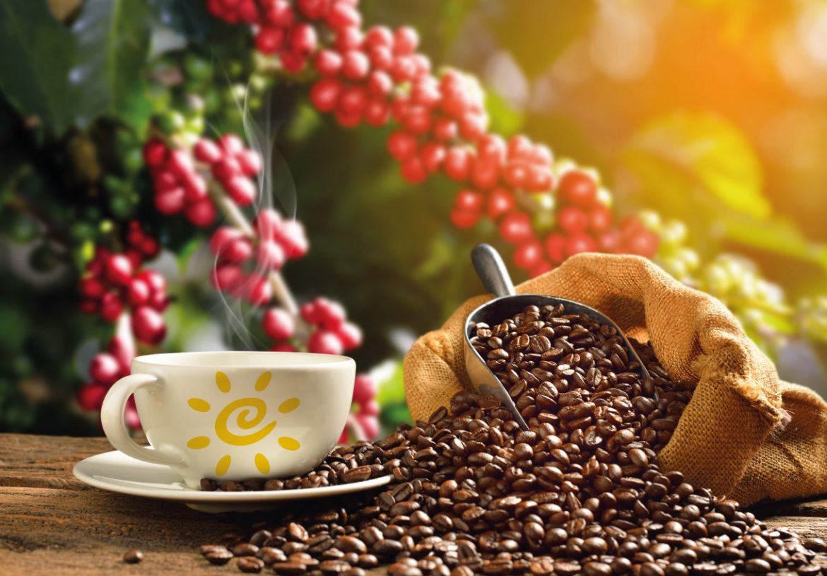 Café ganha nova roupagem e preparo diversificado vira tendência